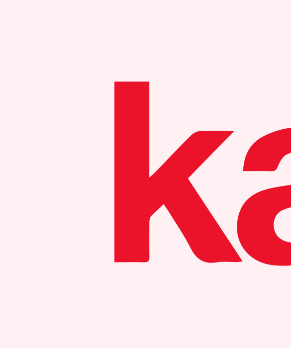 Karton Works Digital Marketing Agency