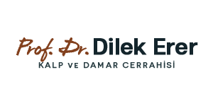 Dr. Dilek Erer